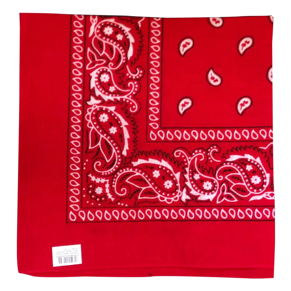 Assorted Dozen Bandanas (Six Popular Colors) (Paisley)