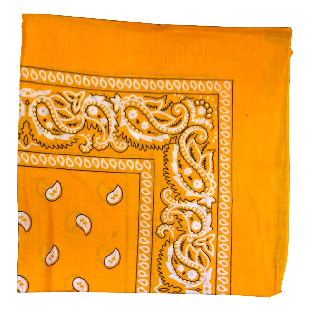 Assorted Dozen Bandanas (Six Popular Colors) (Paisley)