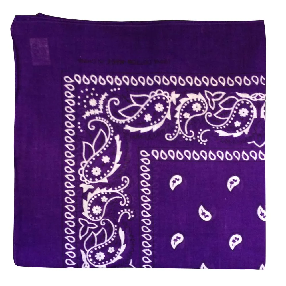 Assorted Dozen Bandanas (Six Popular Colors) (Paisley)