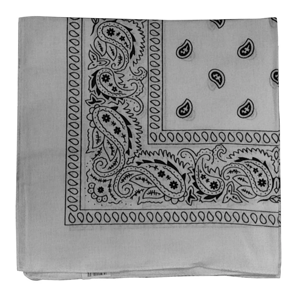 Assorted Dozen Bandanas (Six Popular Colors) (Paisley)