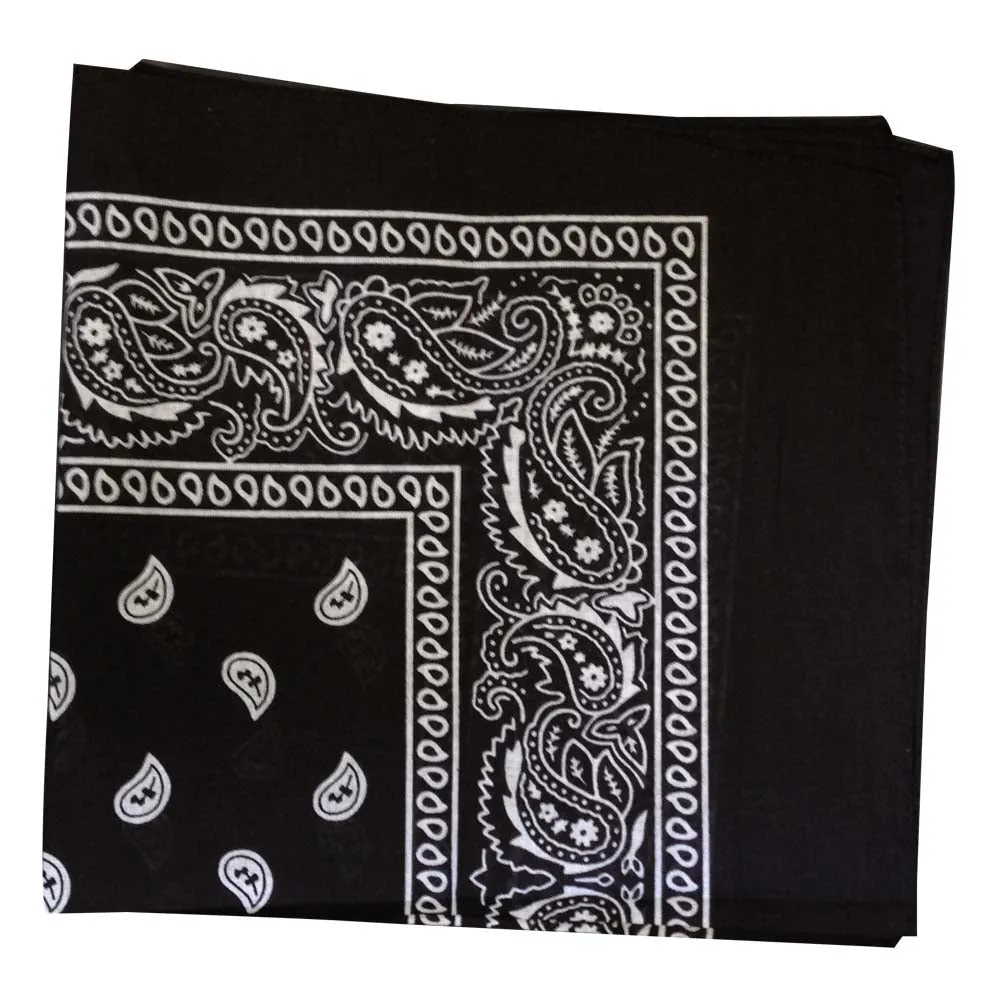 Assorted Dozen Bandanas (Six Popular Colors) (Paisley)