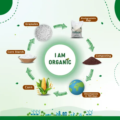 Biodegradable and Compostable D-cut Carry Bags 8x12(200pcs)