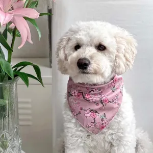Cherry Blossom Dog Bandana