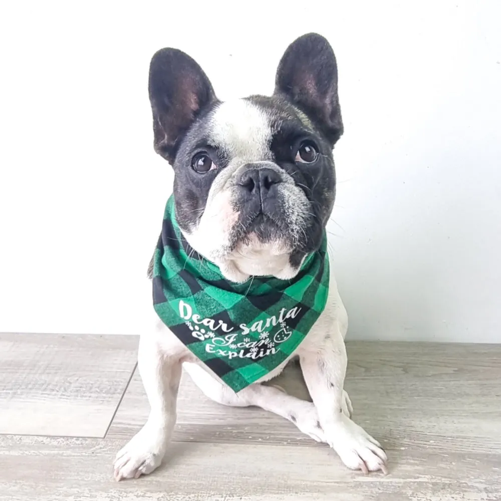 Dear Santa I Can Explain Green Plaid Bandana