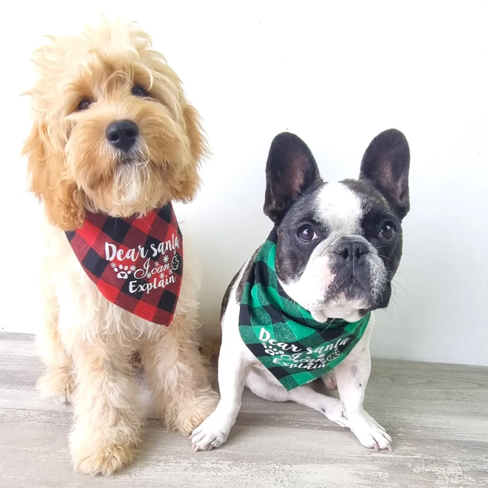 Dear Santa I Can Explain Green Plaid Bandana