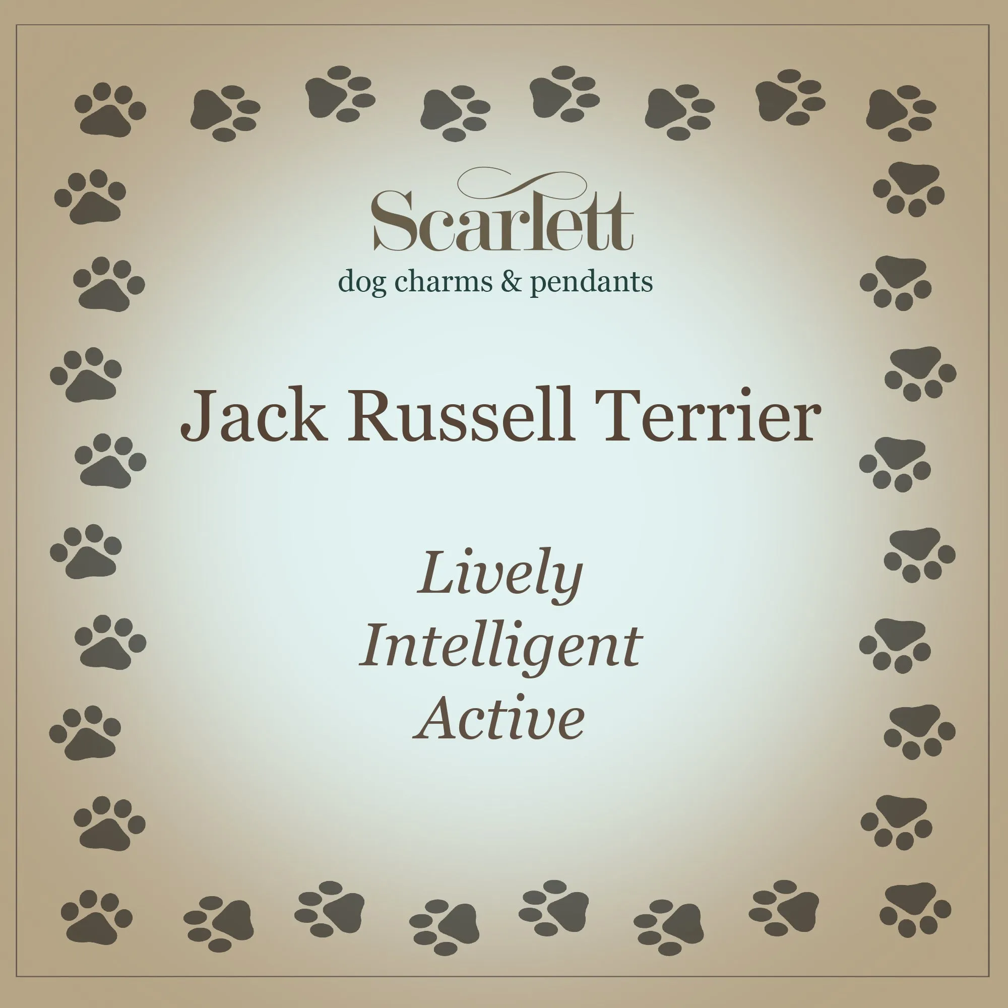 Jack Russell Terrier Personalised Silver Dog Tag Necklace