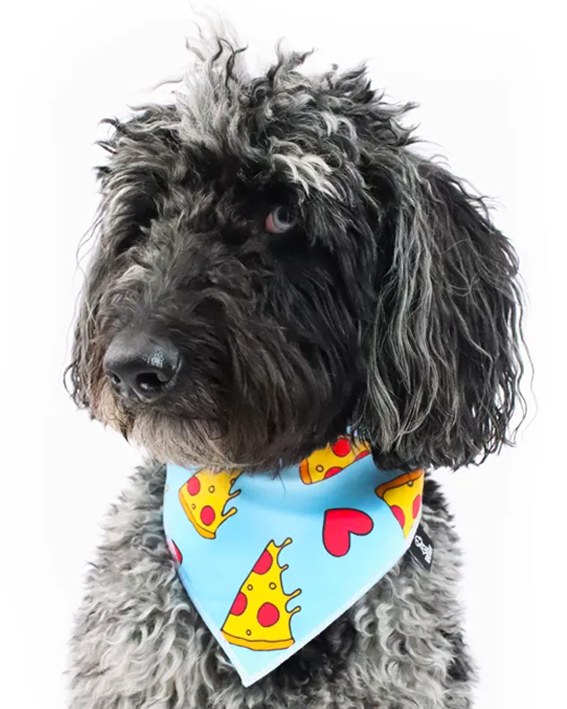Pizza my Heart Bandana