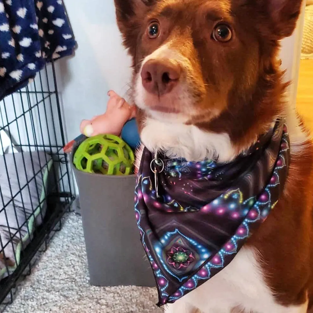 Psychedelic Bandana (UV/RGB, Eco-Friendly, Unisex) | LUMINDALA