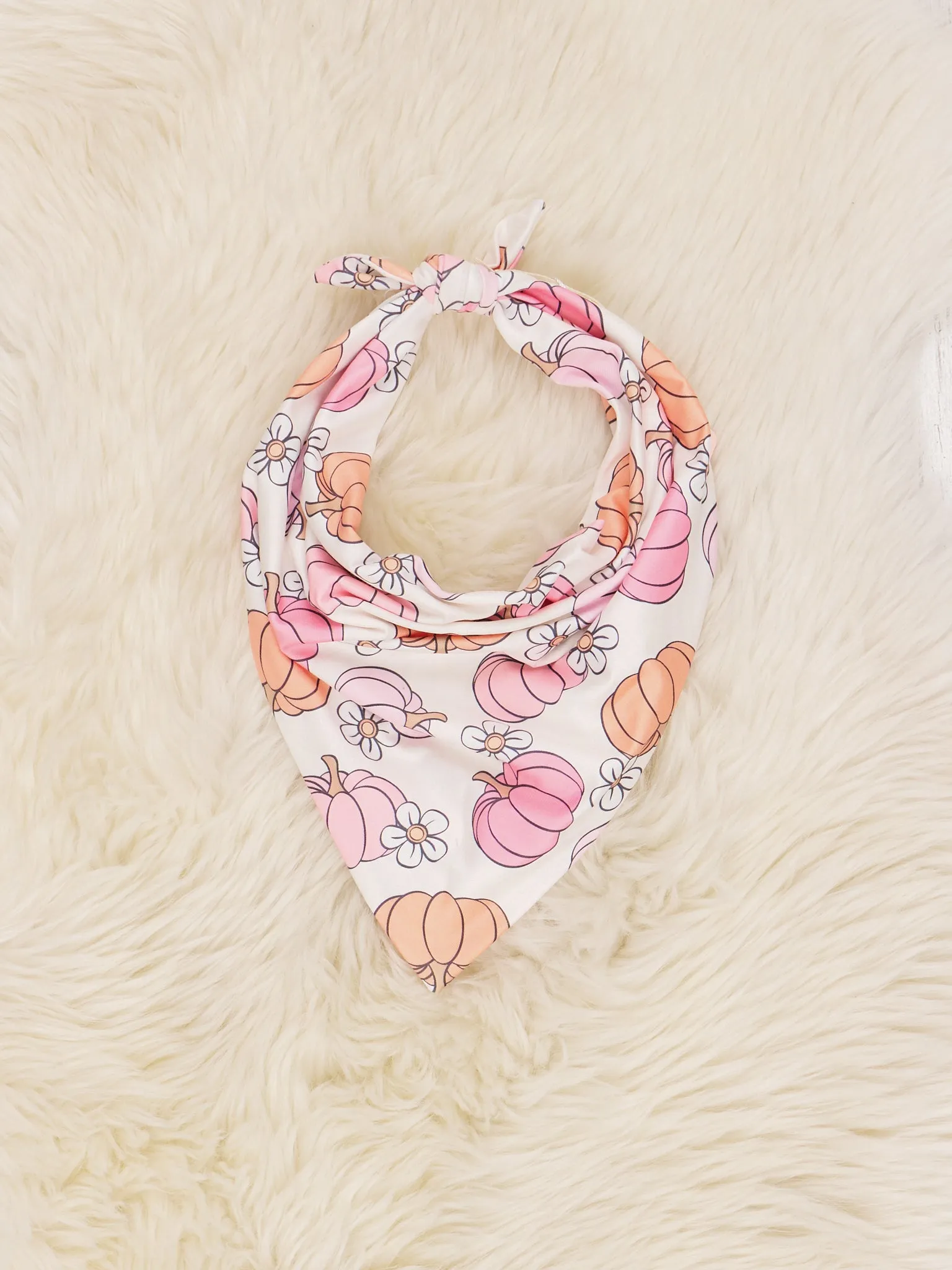 Pumpkin Bandanas