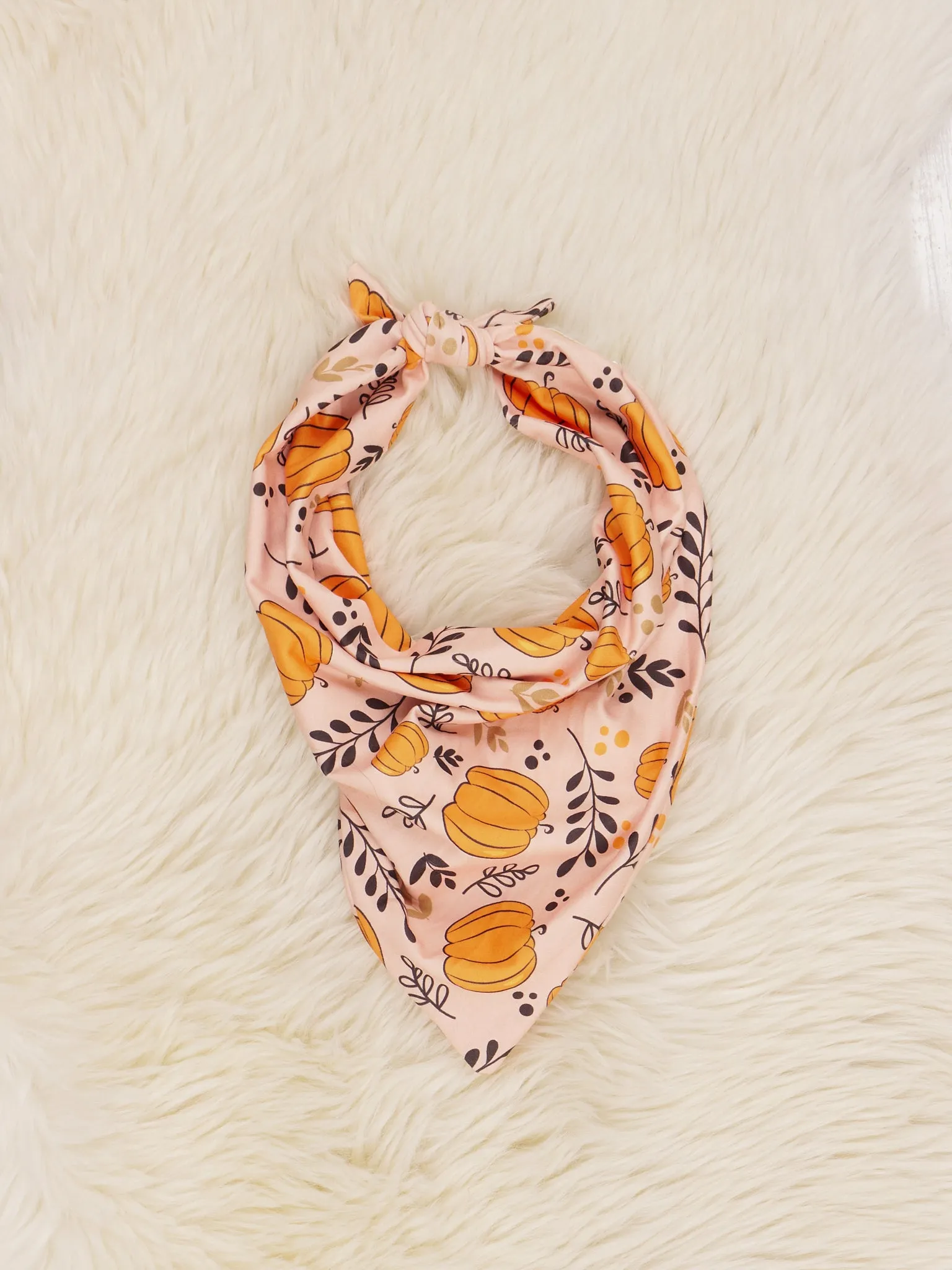 Pumpkin Bandanas