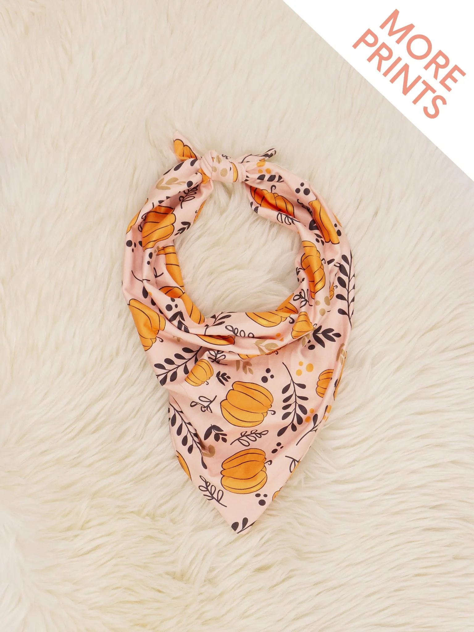Pumpkin Bandanas
