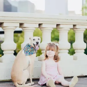 Wag'n Wild Flowers Dog Bandana