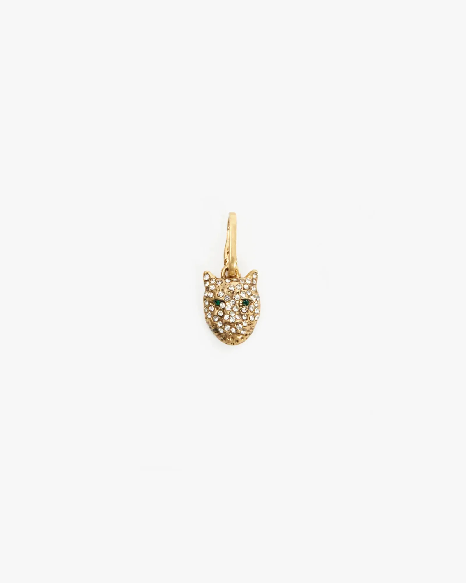 Whiskers Charm