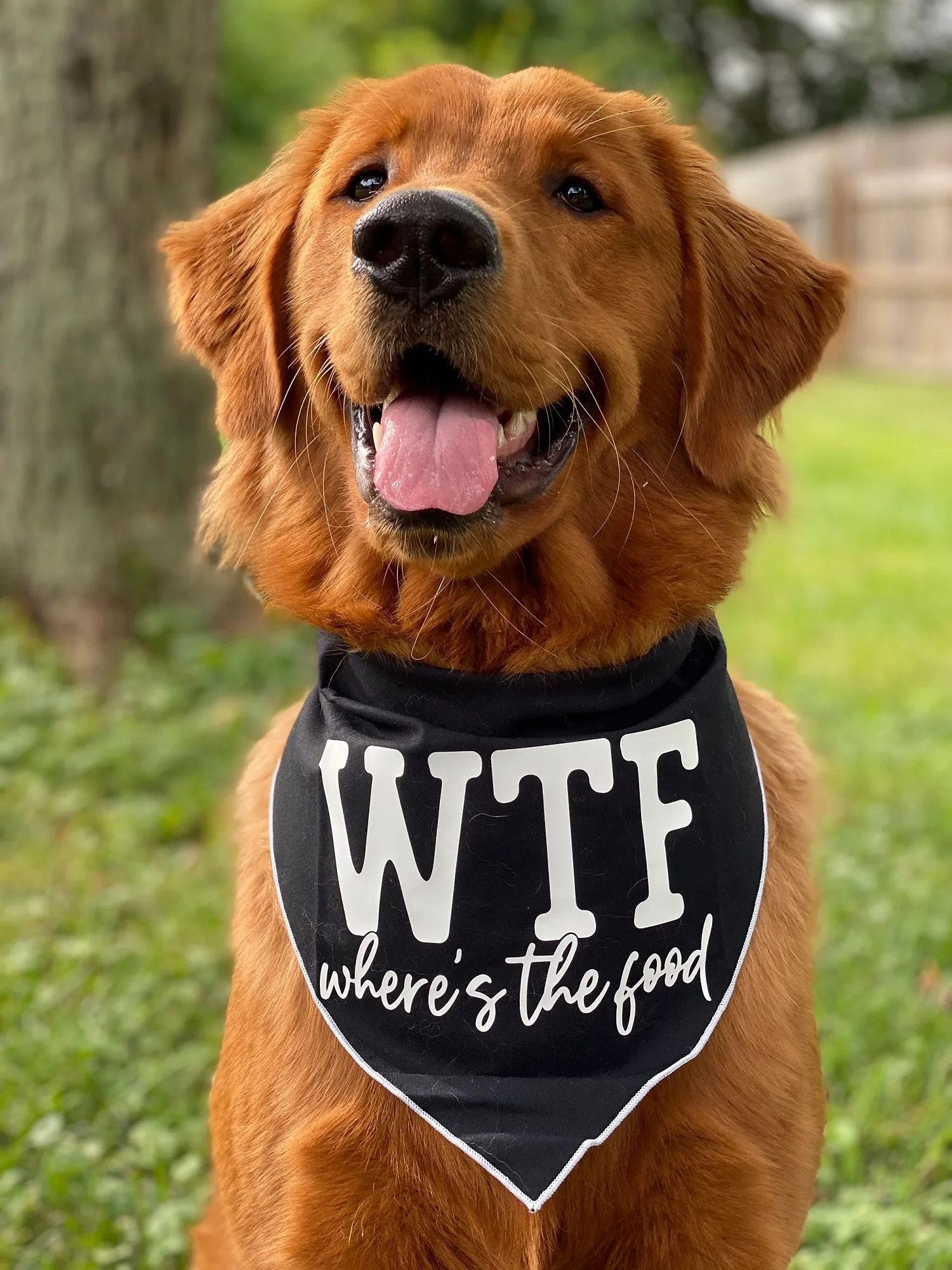 WTF Where's the Food Dog Bandana